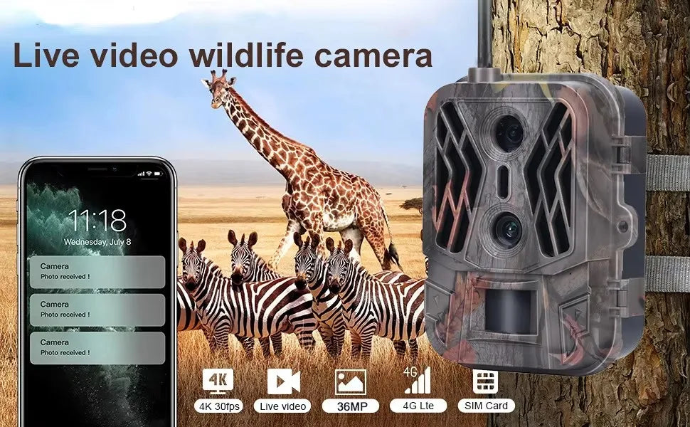 Caméra de suivi 4K 4G avec contrôle par application, service cloud, batterie 8000 mAh, double objectif, caméra de chasse pour la surveillance extérieure