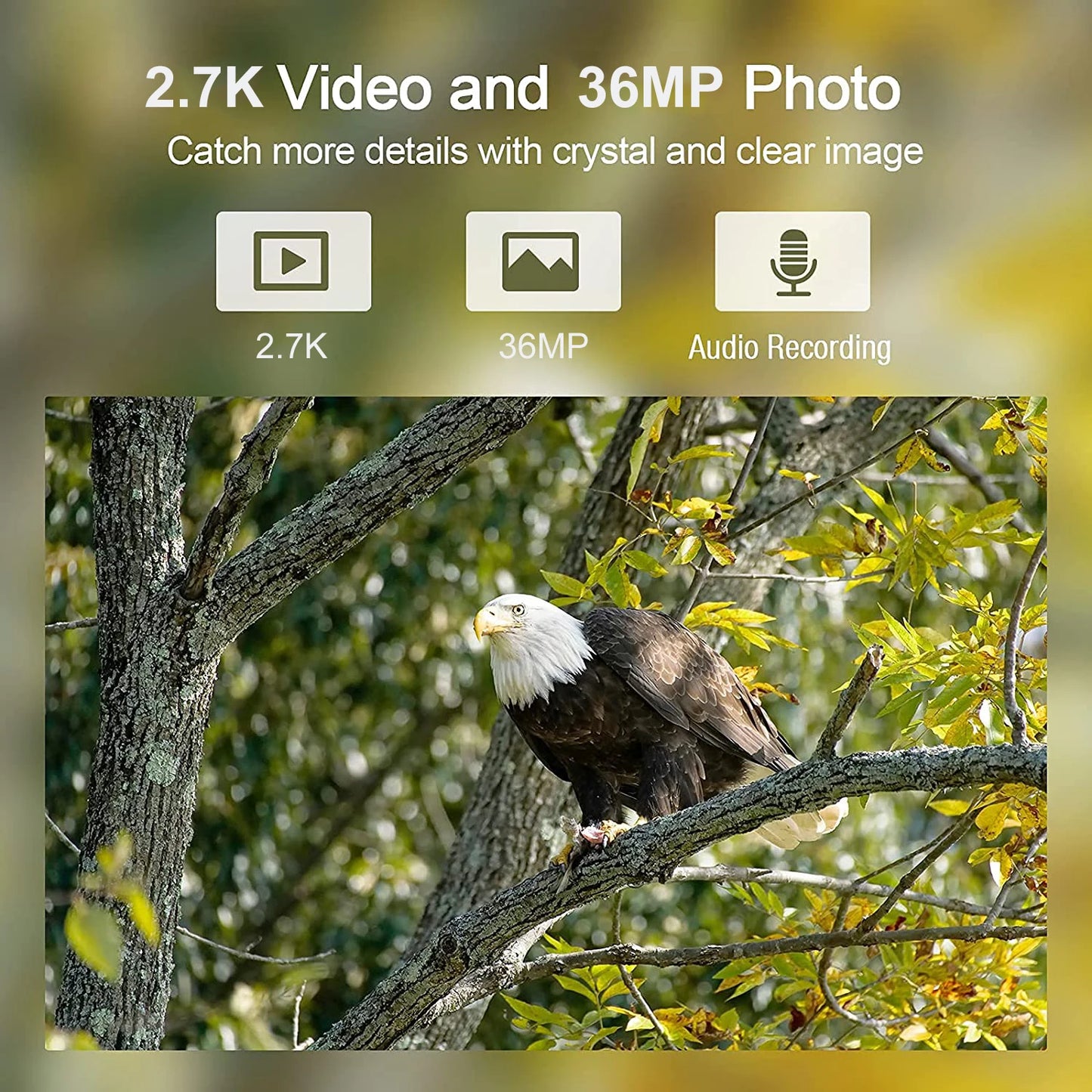 Caméra de surveillance de la faune Suntekcam HC900A 36MP 2.7K IP65 étanche pour la chasse et le scoutisme
