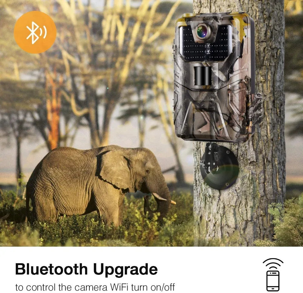 Caméra de suivi des sentiers en direct WIFI 4K 30MP APP contrôle Bluetooth caméras de chasse Vision nocturne WIFI900PRO Surveillance de la faune