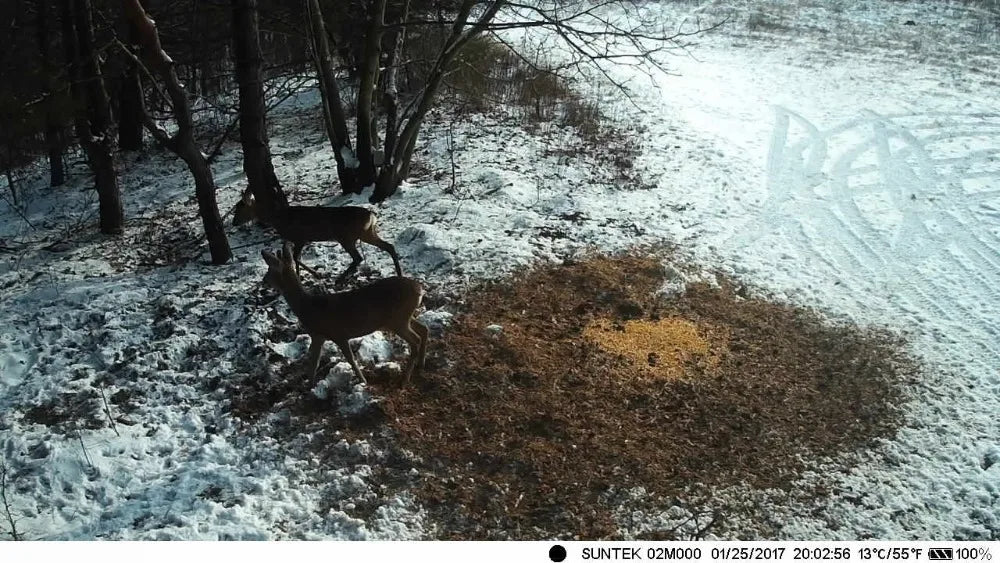 Caméra de chasse 16MP, vidéo 1080P, étanche, déclenchement 0,3s, HC801ALI avec batterie au lithium 5000mAh, piège photo de surveillance sauvage