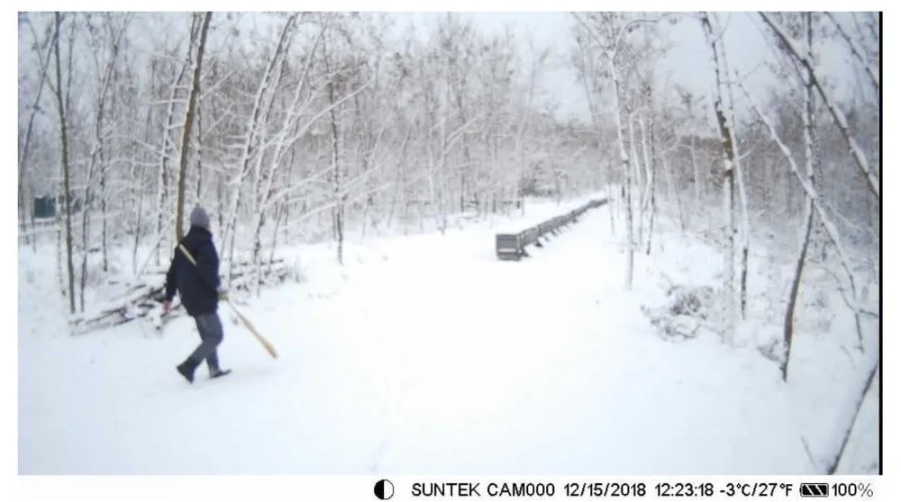 Caméra de suivi des sentiers en direct WIFI 4K 30MP APP contrôle Bluetooth caméras de chasse Vision nocturne WIFI900PRO Surveillance de la faune