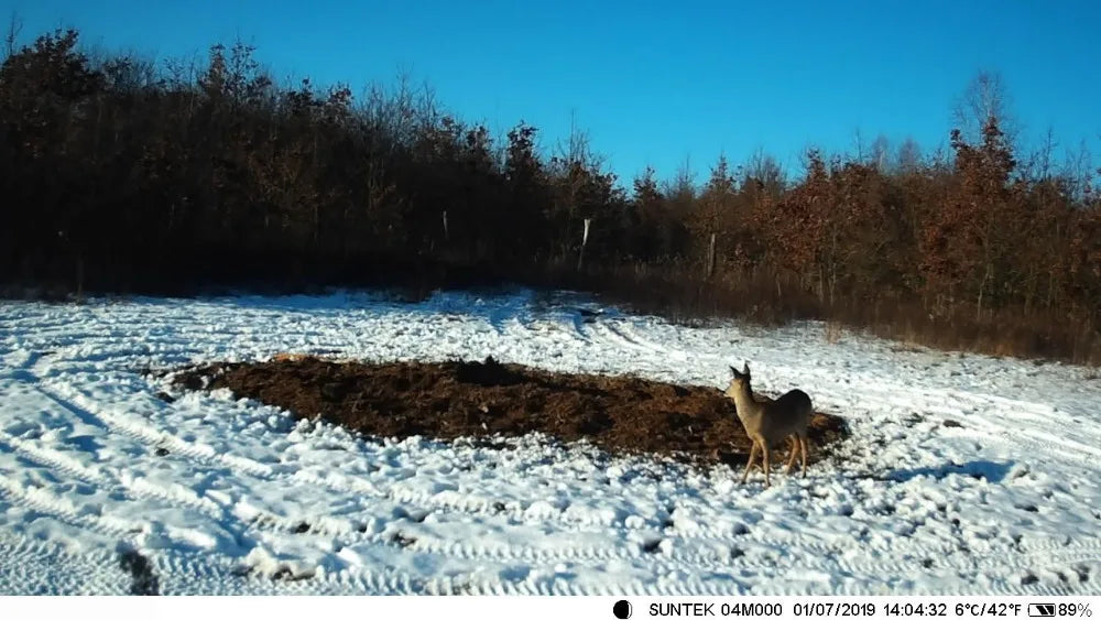 Caméra de chasse 16MP, vidéo 1080P, étanche, déclenchement 0,3s, HC801ALI avec batterie au lithium 5000mAh, piège photo de surveillance sauvage