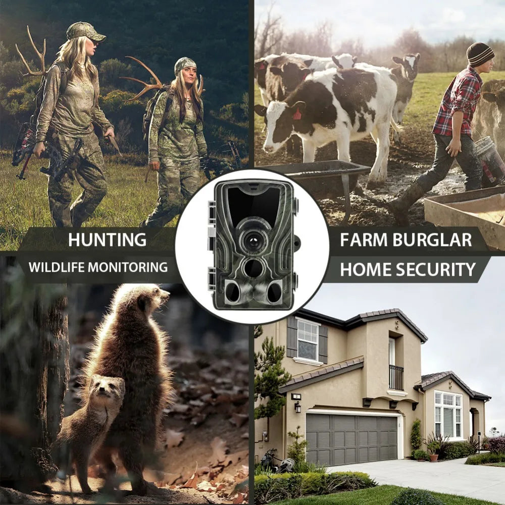 Caméra de chasse HC801A 20MP 1080P, surveillance de la faune, étanche IP65, capteur PIR, caméra de suivi pour la sécurité extérieure