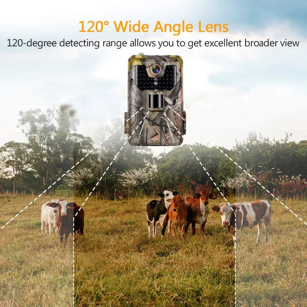 Caméra de suivi des sentiers en direct WIFI 4K 30MP APP contrôle Bluetooth caméras de chasse Vision nocturne WIFI900PRO Surveillance de la faune