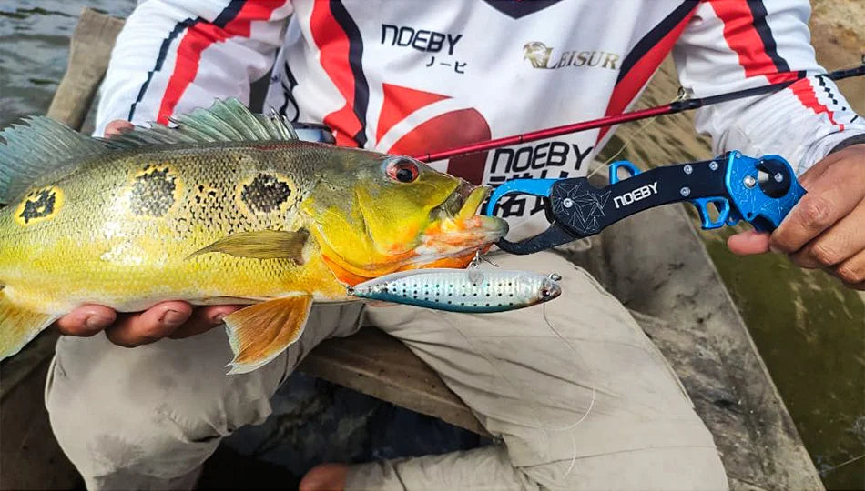 NOEBY Pince de Pêche Multifonctionnelle — Outil Pro Acier Inoxydable