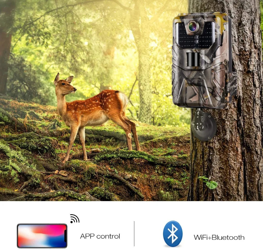 Caméra de suivi des sentiers en direct WIFI 4K 30MP APP contrôle Bluetooth caméras de chasse Vision nocturne WIFI900PRO Surveillance de la faune