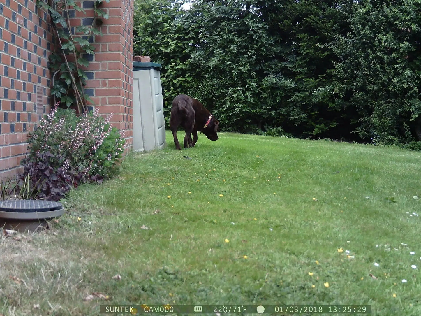 Caméra de chasse à vision nocturne 16MP 2G MMS SMS SMTP HC300M Cellulaire Étanche Sans Fil Piège Photo de Surveillance