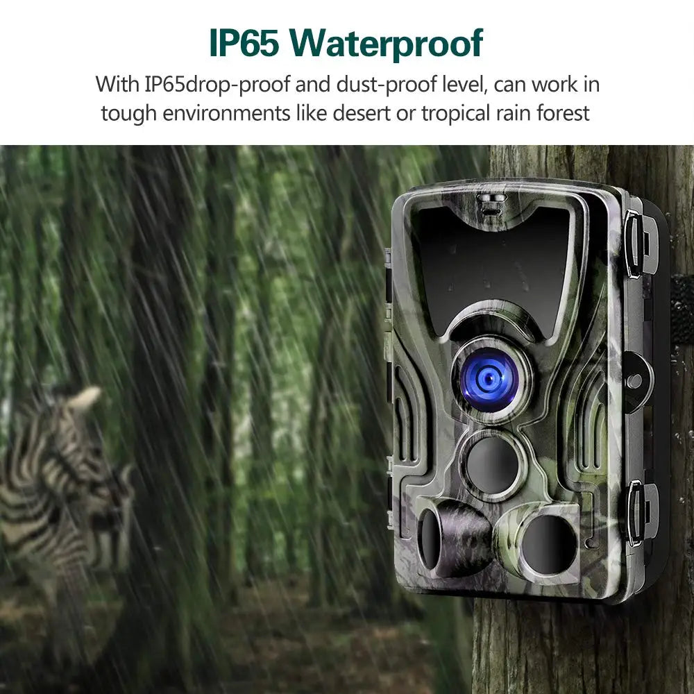 Caméra de chasse HC801A 20MP 1080P, surveillance de la faune, étanche IP65, capteur PIR, caméra de suivi pour la sécurité extérieure