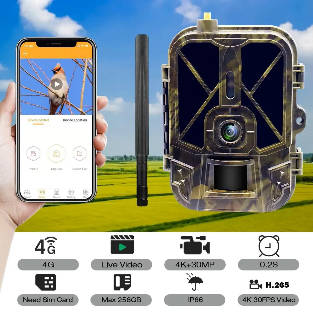 Caméra de surveillance 4K en direct 4G 30MP avec service cloud APP, caméras de chasse, batterie Li-ion 8000 mAh, vision nocturne, pièges photo HC940PROLI