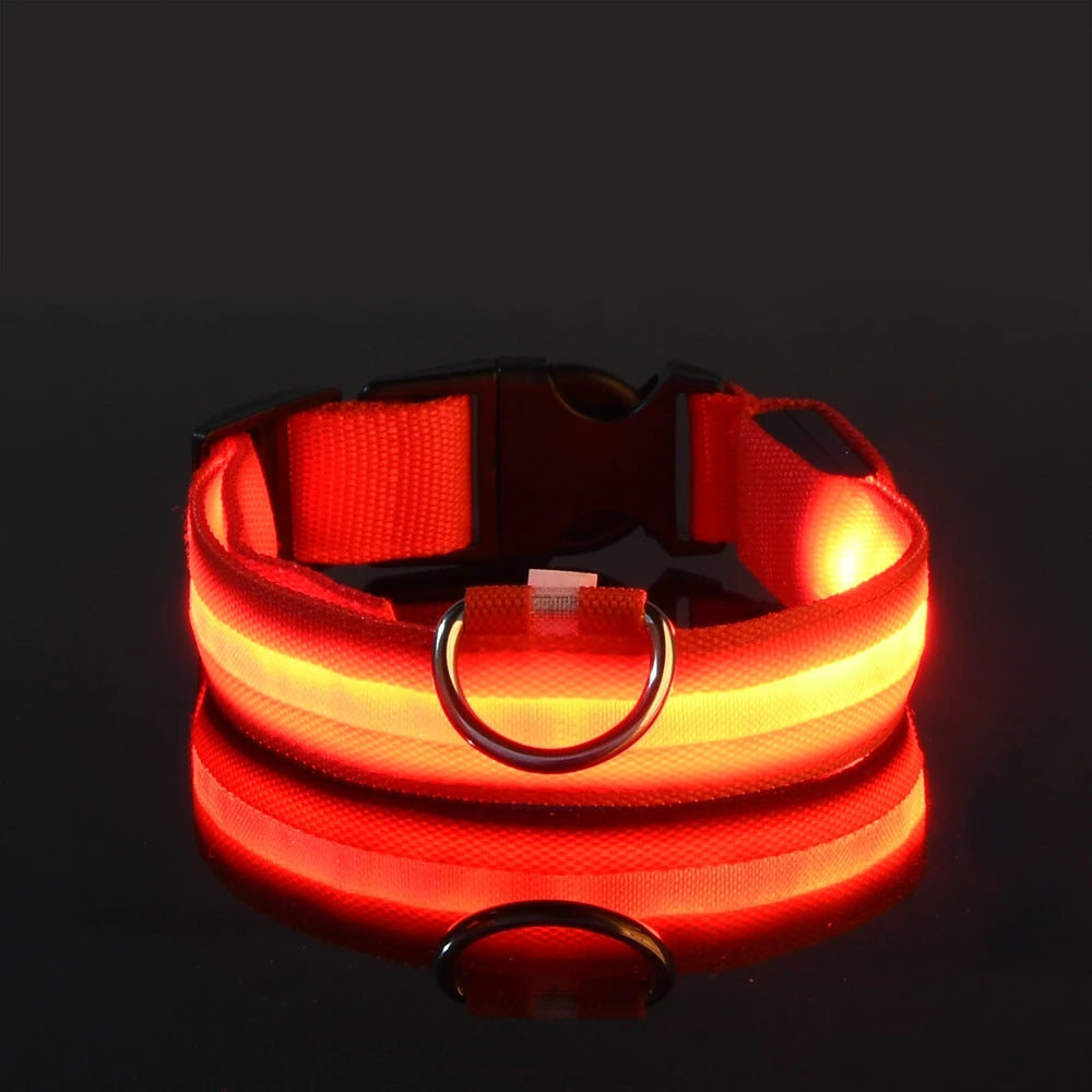 Correa LED de nailon intermitente para perros, seguridad nocturna, brilla en la oscuridad, collar estructural para perros de compañía Shoous