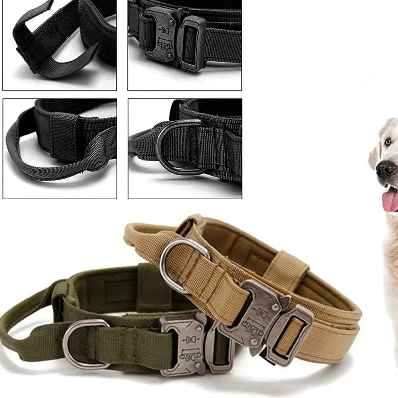 Collier Tactique Nylon pour Chien — Poignée Réglable, Robuste, Taille Moyenne & Grande