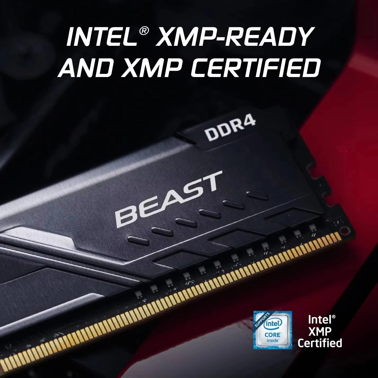 Kingston FURY Beast DDR4 RAM 8 Go 16 Go 32 Go 2400/2666/3200/3600 MHz 288 broches 1,2 V Module de mémoire PC4 pour ordinateur de bureau