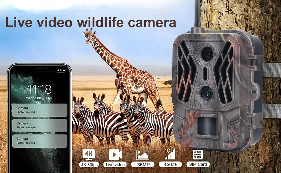 Caméra de suivi 4K 4G avec contrôle par application, service cloud, batterie 8000 mAh, double objectif, caméra de chasse pour la surveillance extérieure