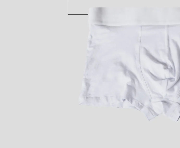 Boxer Homme ORLVS — Lot de 1 à 2 Pièces Confort Premium