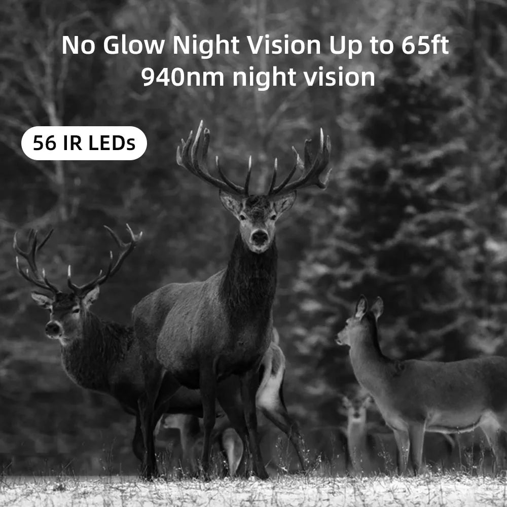 Caméra de surveillance 4K en direct 4G 30MP avec service cloud APP, caméras de chasse, batterie Li-ion 8000 mAh, vision nocturne, pièges photo HC940PROLI
