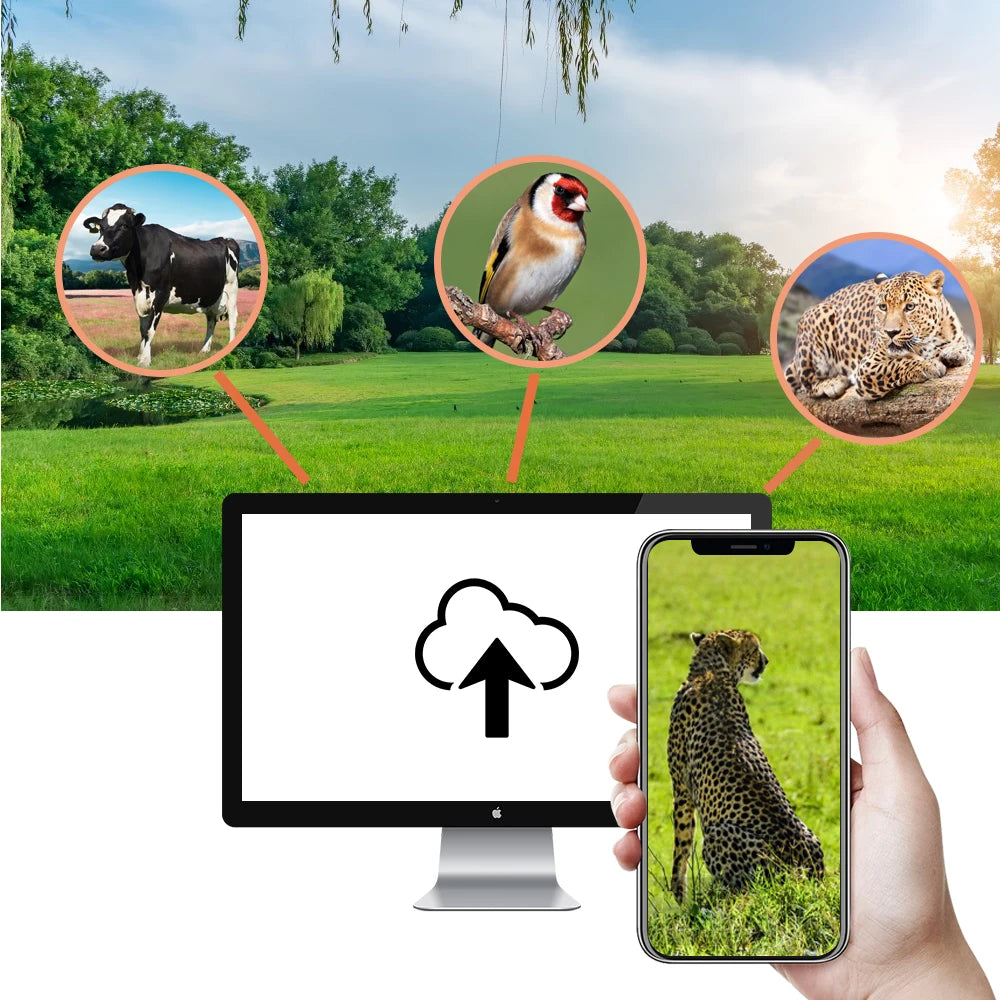 Caméra de chasse 4K 30fps avec contrôle par application, service cloud, 4G, 30MP, diffusion en direct, vision nocturne, piège photo pour la chasse sauvage HC910PRO
