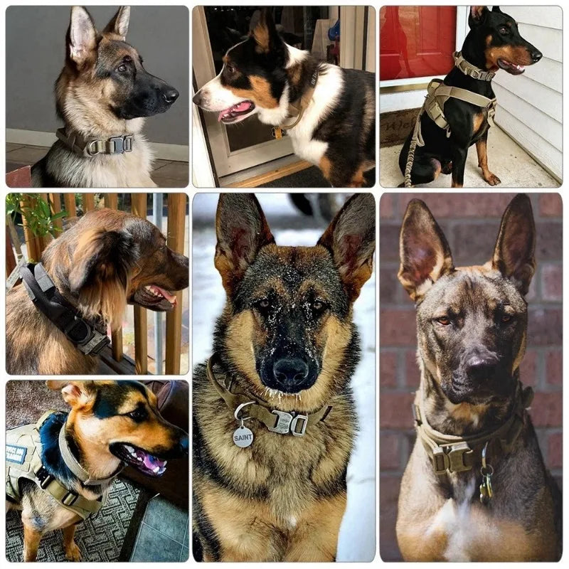 Collier Tactique Nylon pour Chien — Poignée Réglable, Robuste, Taille Moyenne & Grande