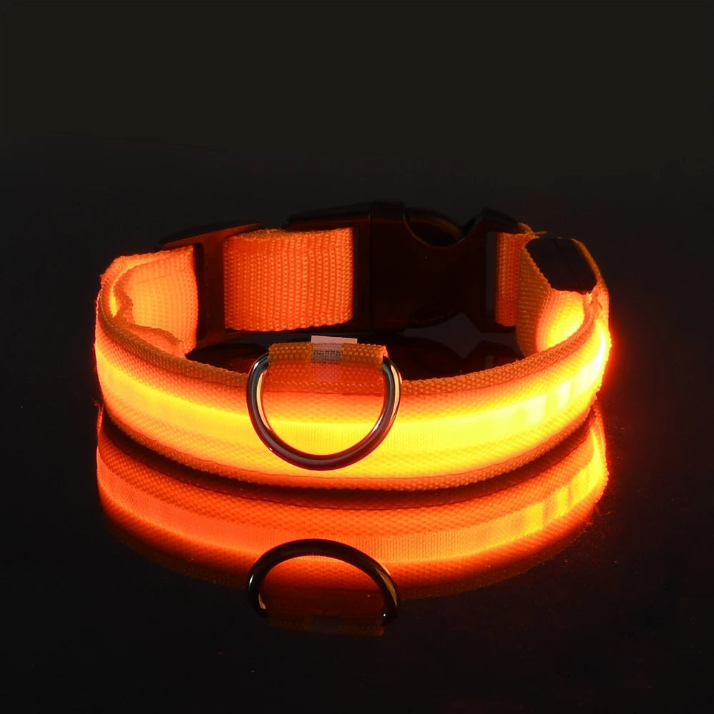 Correa LED de nailon intermitente para perros, seguridad nocturna, brilla en la oscuridad, collar estructural para perros de compañía Shoous