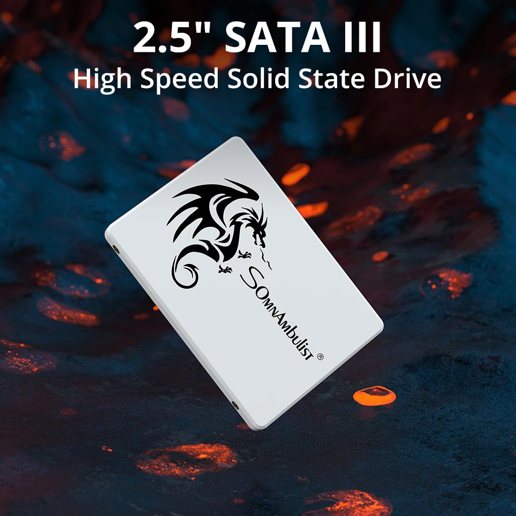 SomnAmbulist SSD 2.5 64GB 128GB 256GB 512GB pour ordinateur portable de bureau disque SSD Sata3 120GB 240GB 480GB