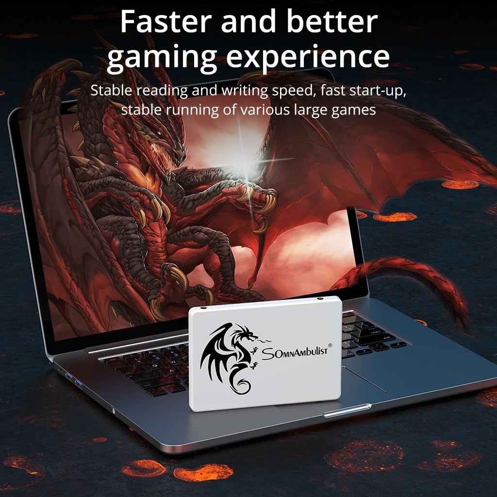 SomnAmbulist SSD 2.5 64GB 128GB 256GB 512GB pour ordinateur portable de bureau disque SSD Sata3 120GB 240GB 480GB