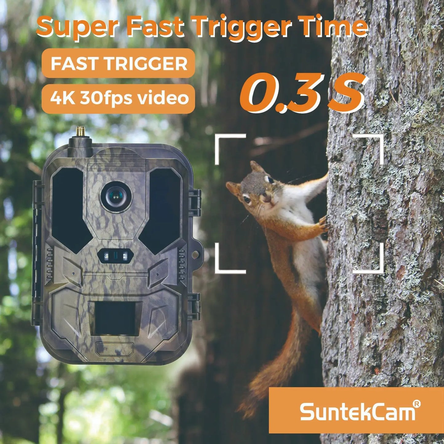 Caméra de chasse 4G LTE avec contrôle par application, diffusion vidéo en direct 4K, service cloud, FTP, SMTP, batterie 8000 mAh HC-960Ultra-LI