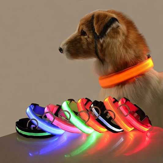 Correa LED de nailon intermitente para perros, seguridad nocturna, brilla en la oscuridad, collar estructural para perros de compañía Shoous