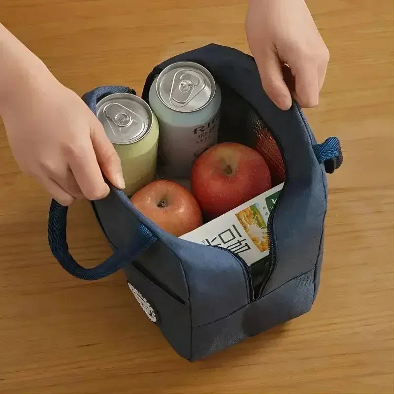 Ionic Aluminum Insulated Lunch Bags, New Ice Storage Pack, Portable Waterproof Picnic Box for Students