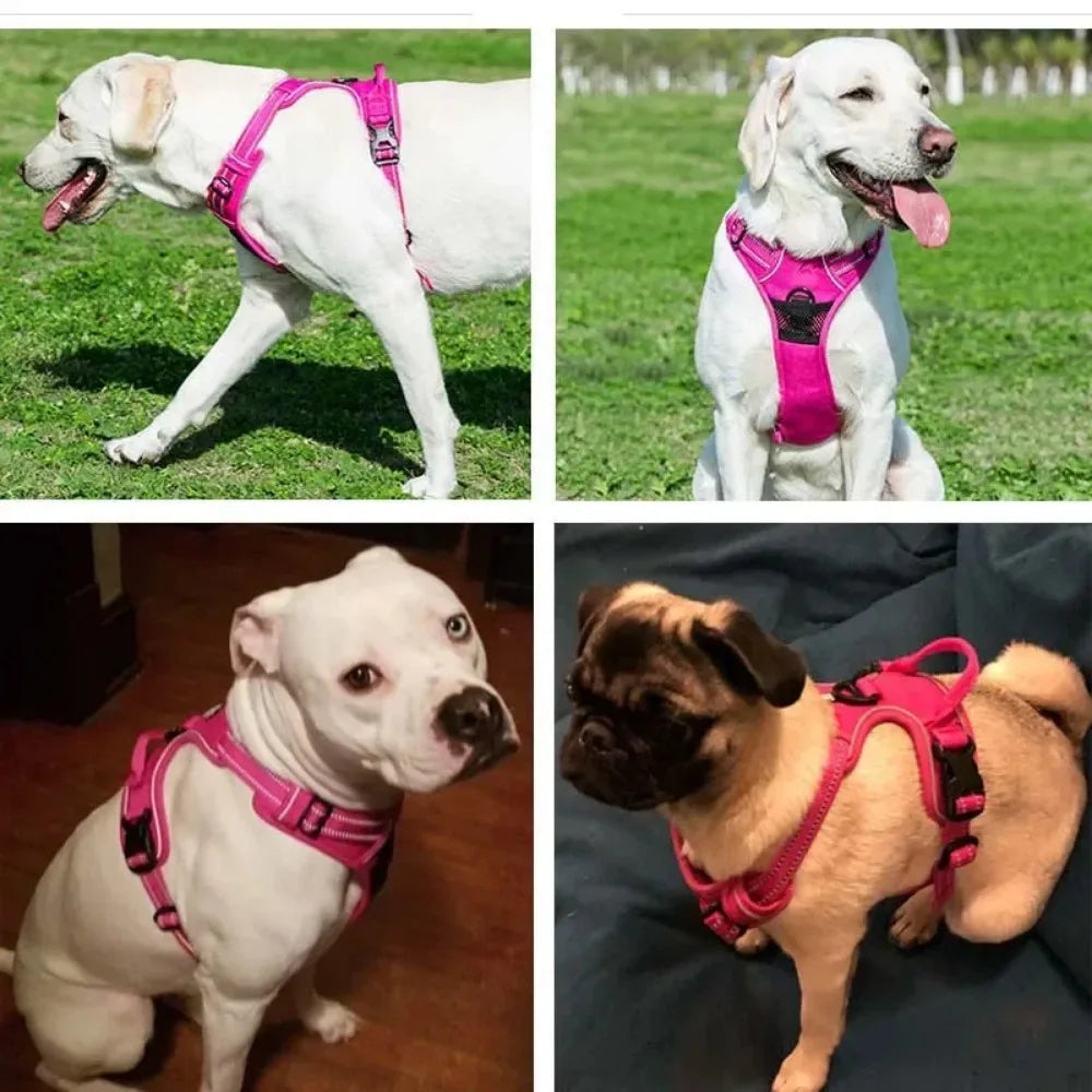 Harnais Réfléchissant pour Chien — Gilet Respirant Réglable, Sangle Poitrine, Petit/Moyen/Grand