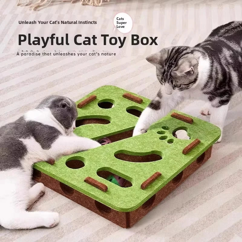 Jouet de Puzzle en feutre pour chat, boîte de Puzzle, jouet d'exercice avec balle, sport d'intérieur, divertissement, chasse, jouets pour chats d'intérieur
