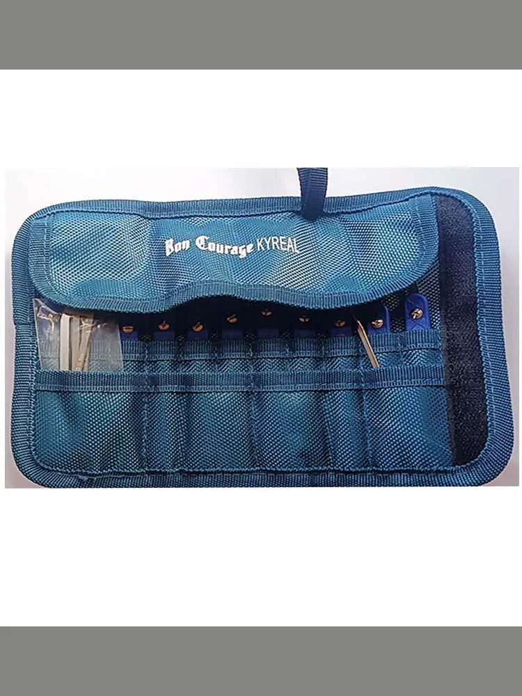 Outil de serrurier professionnel — 11 crochets en acier inoxydable 0,4mm, manche bleu-violet