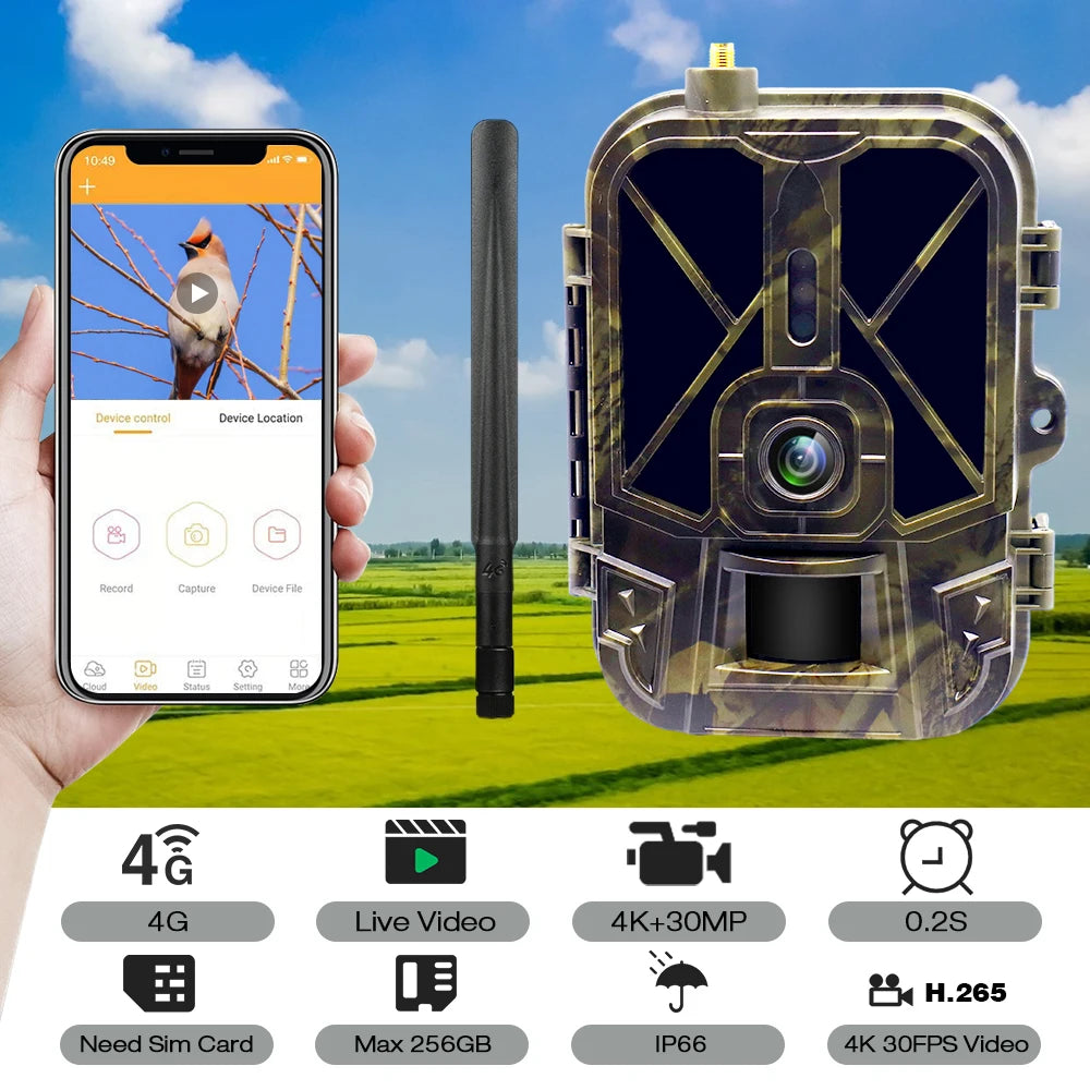 4K flux en direct médias APP Service sans batterie au lithium caméra de chasse 4G 30MP Vision nocturne Photo HC940PRO caméra