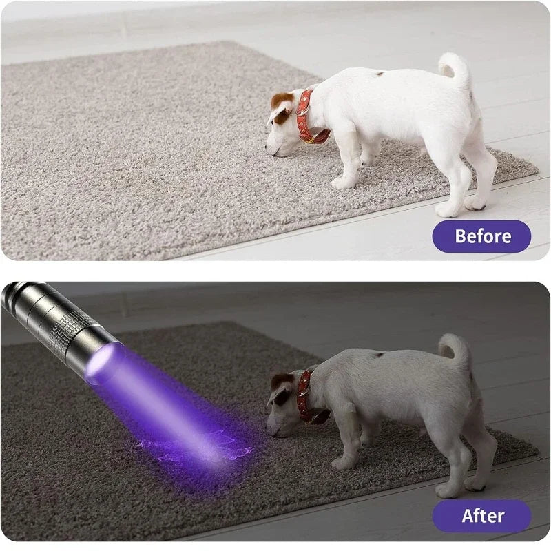 Lampe de poche UV 395nm, torche ultraviolette avec pince à stylo, piles AAA portables utilisées, lumière violette, détecteur d'urine animale et de Scorpion, lampe UV