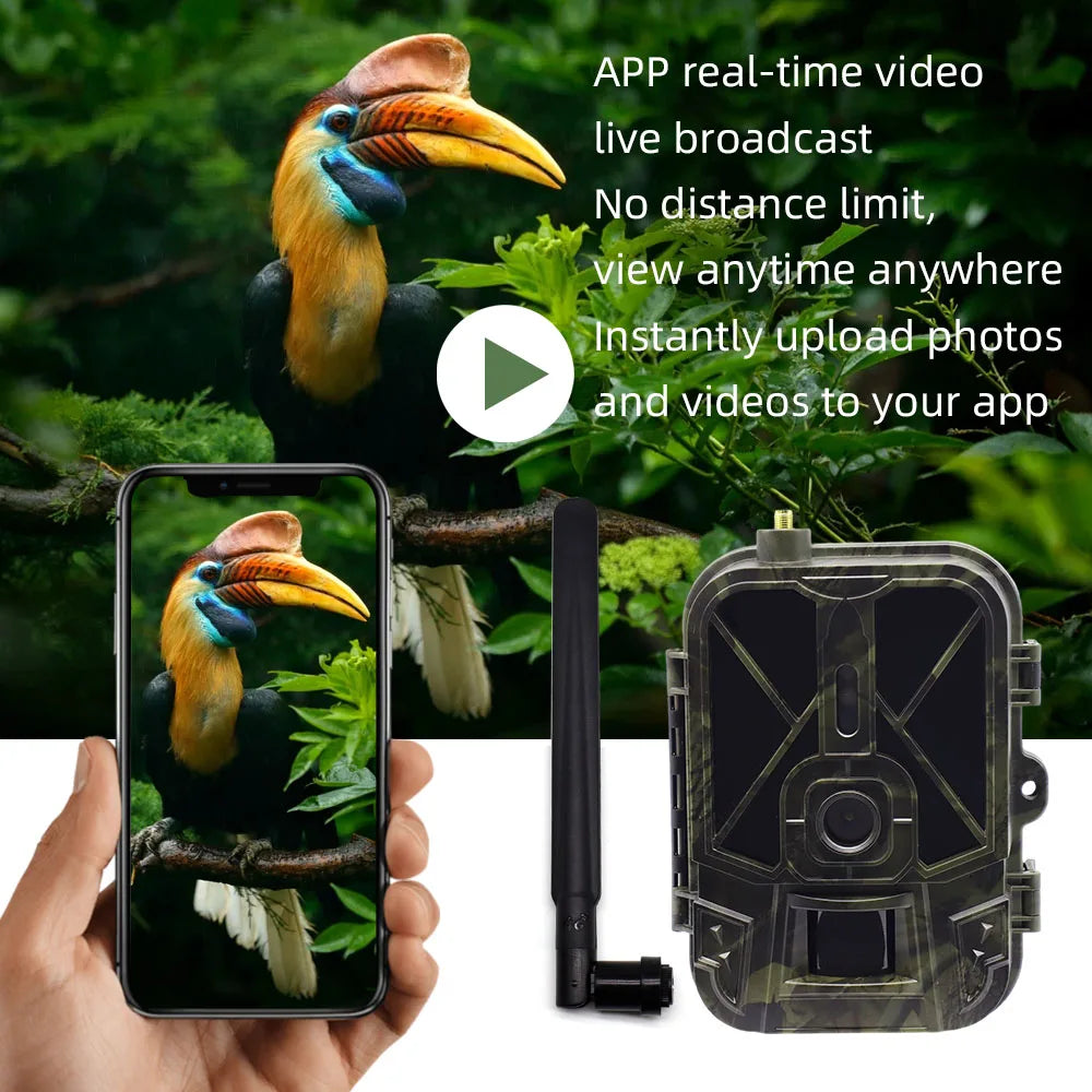 Caméra de surveillance 4K en direct 4G 30MP avec service cloud APP, caméras de chasse, batterie Li-ion 8000 mAh, vision nocturne, pièges photo HC940PROLI