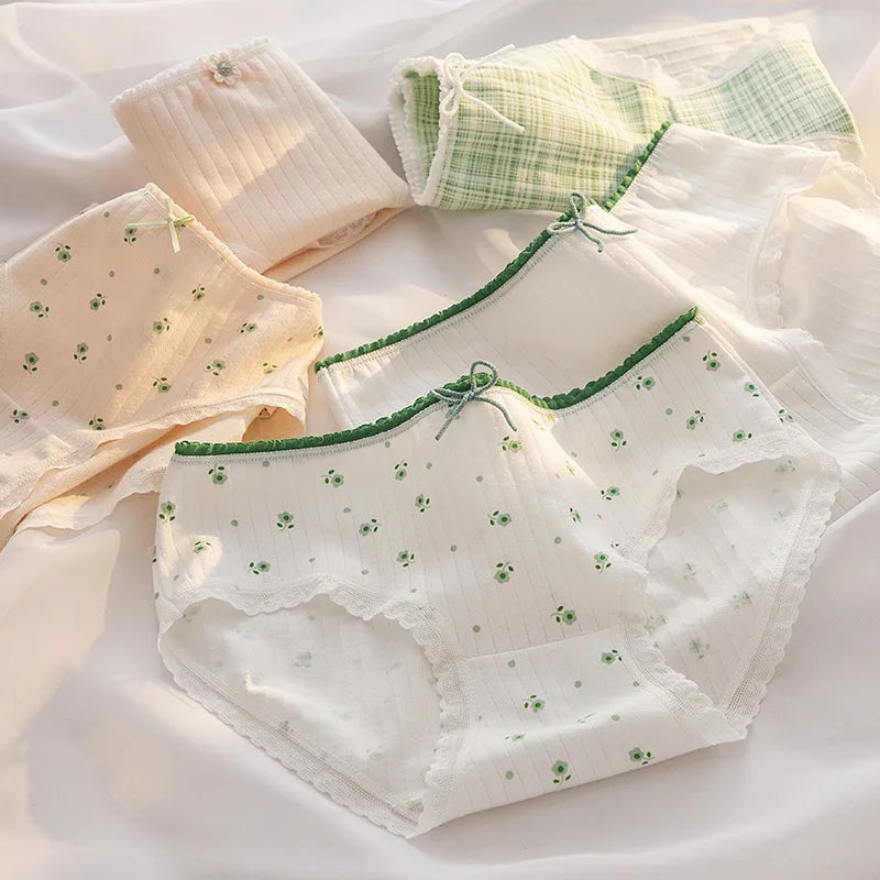 Culottes Coton Doux Nœud Dentelle Femme — Lot de 5 Pièces